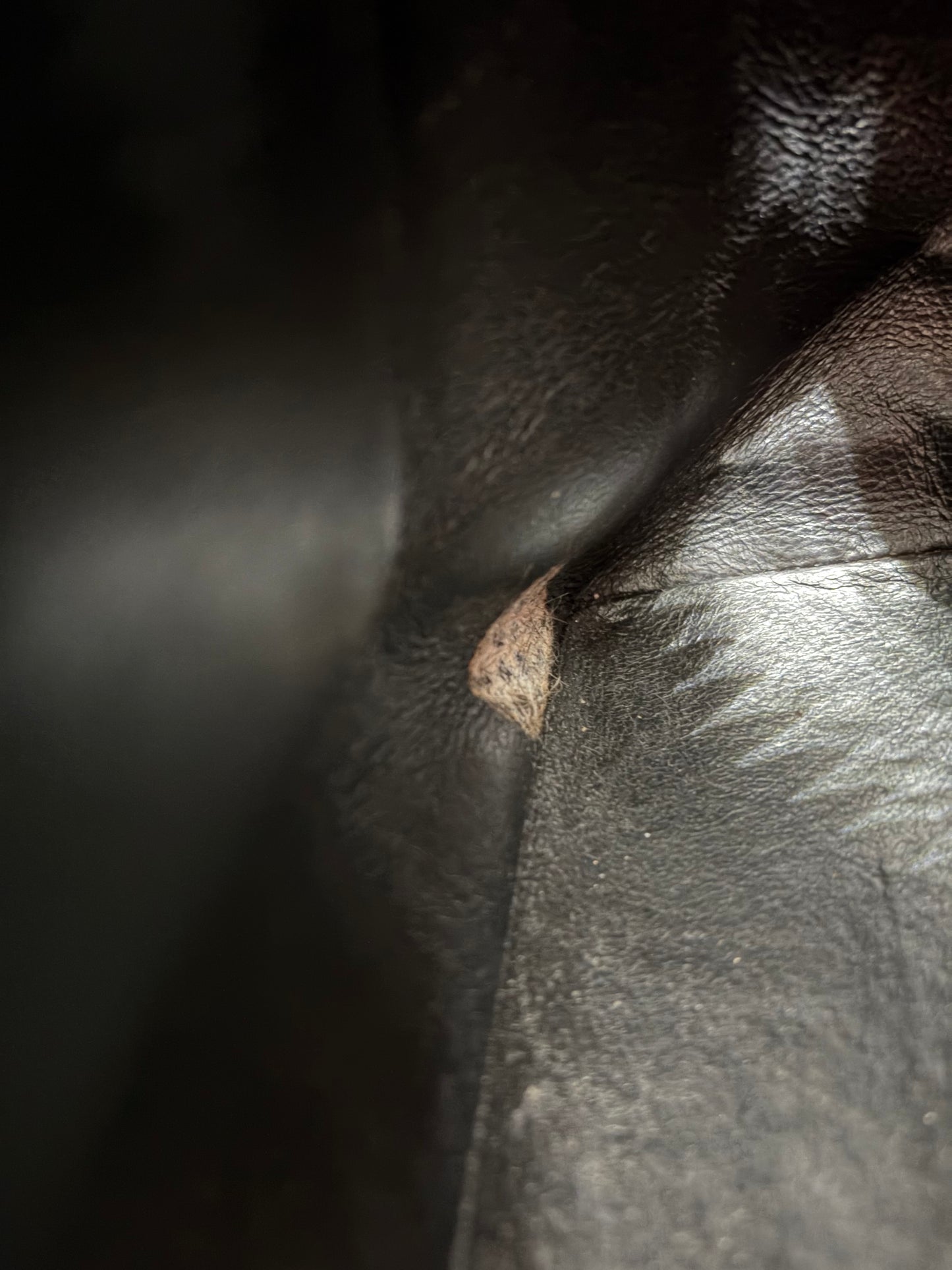 Chanel Gold Medallion Quitted Kaviar Schultertasche