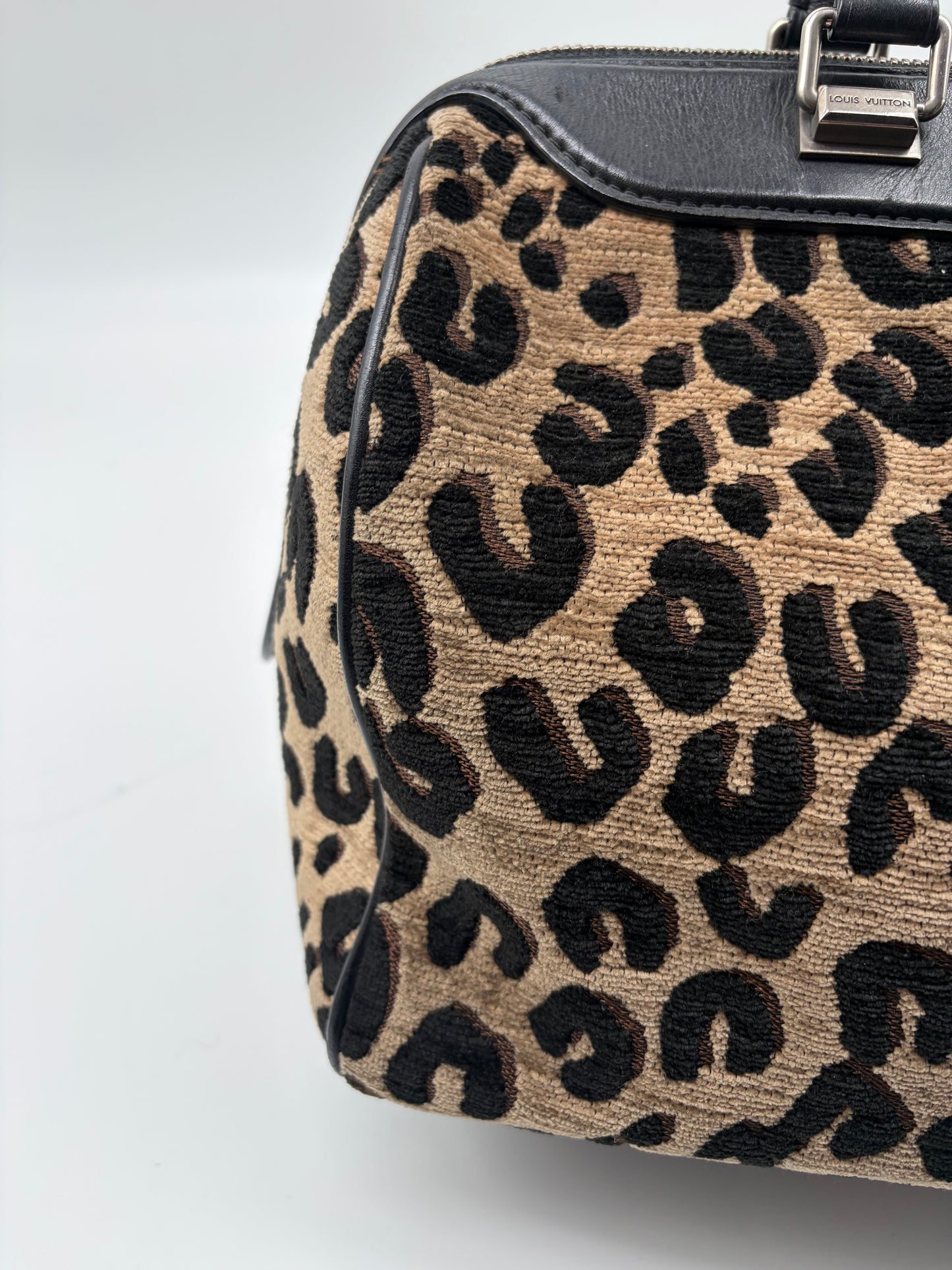Louis Vuitton x Stephen Sprouse Speedy 30 Leopard Special Edition