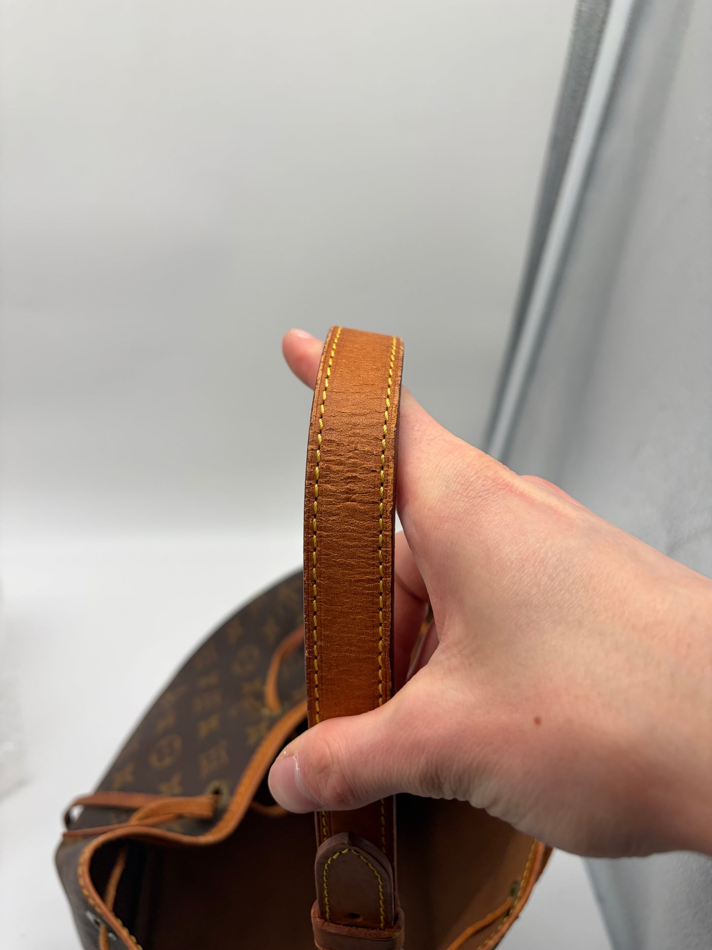 Louis Vuitton Petit Noé Monogram Canvas Bucket Bag