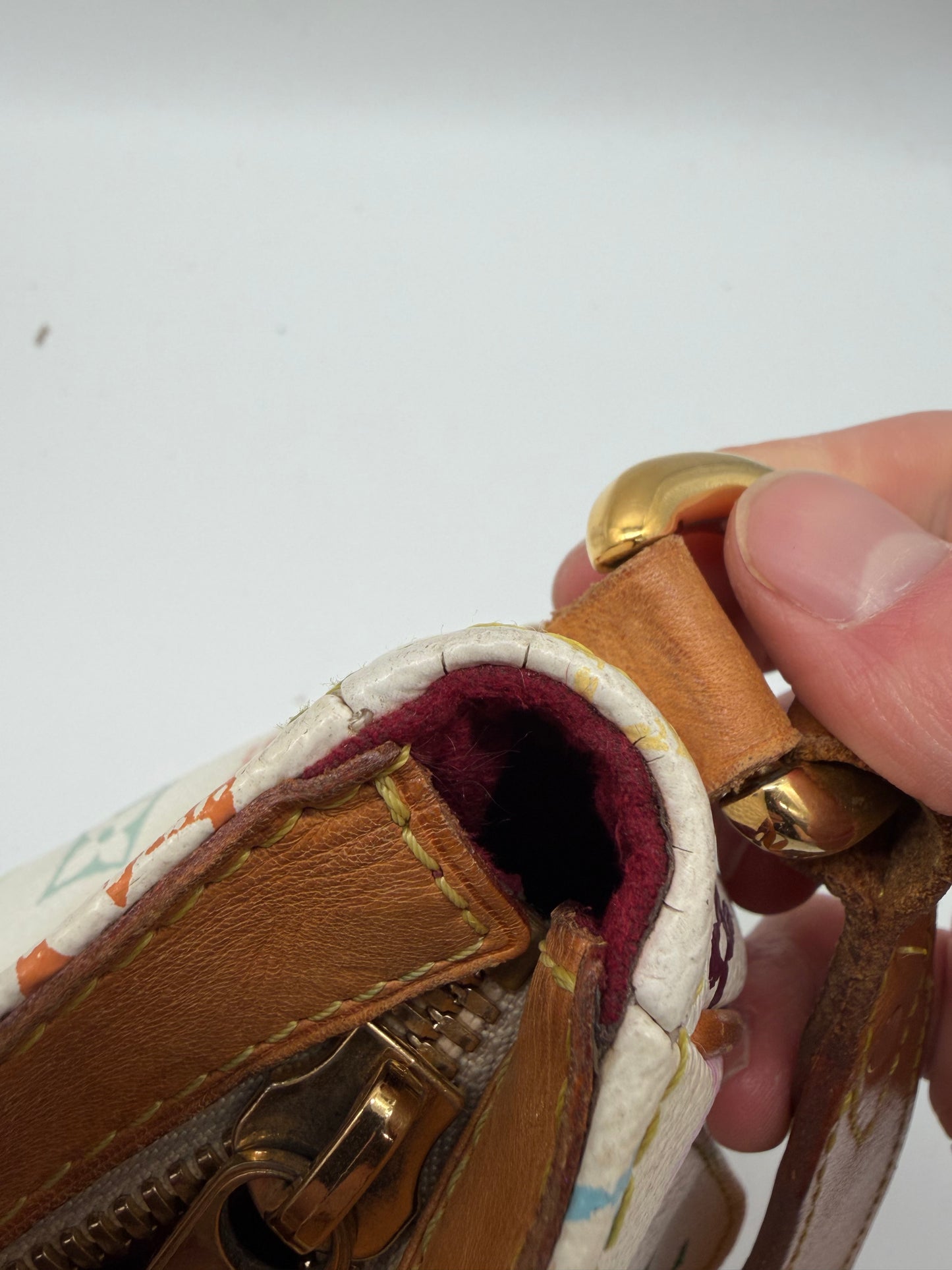 Louis Vuitton Murakami Monogram Multicolor Lodge