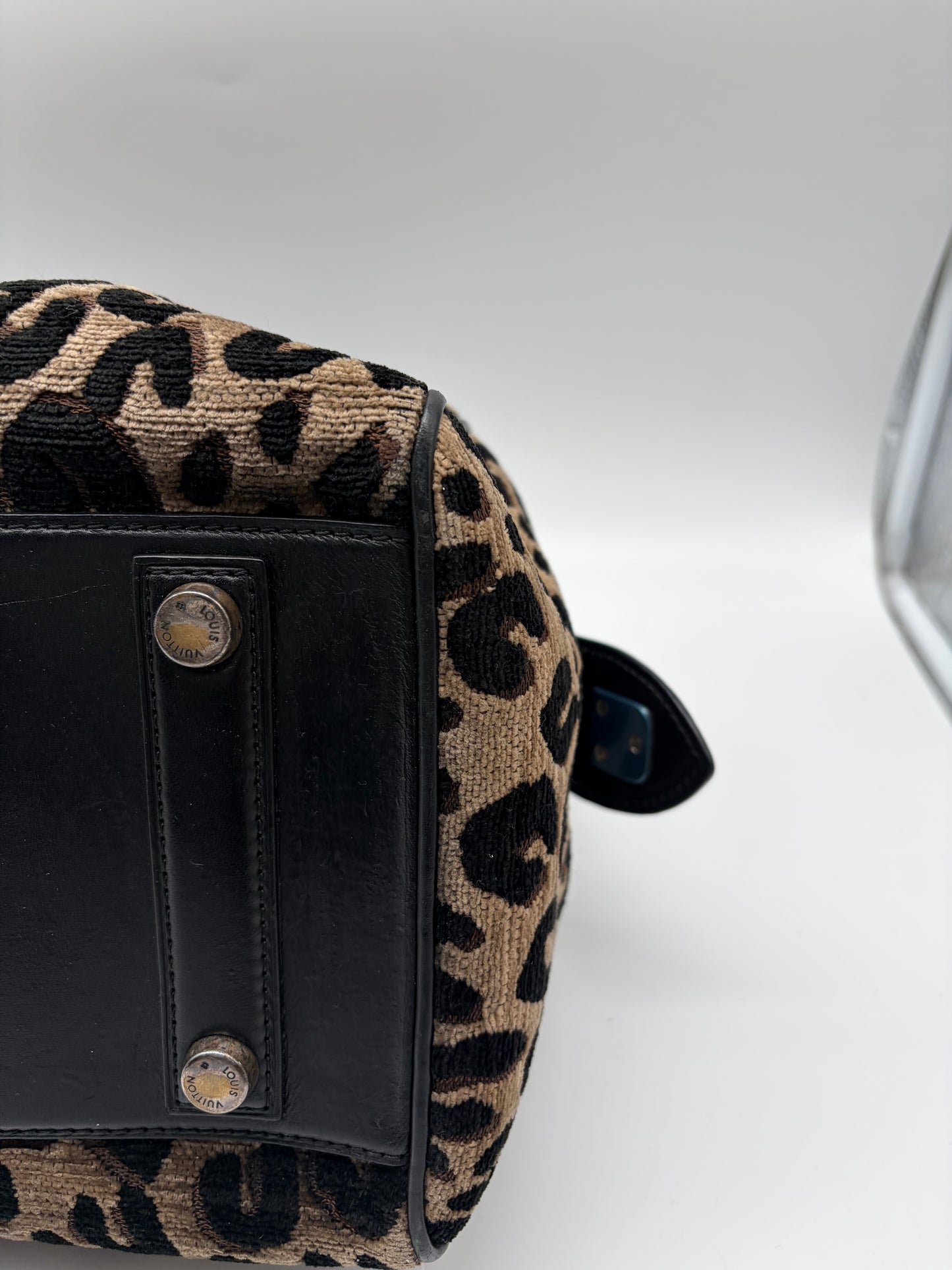 Louis Vuitton x Stephen Sprouse Speedy 30 Leopard Special Edition