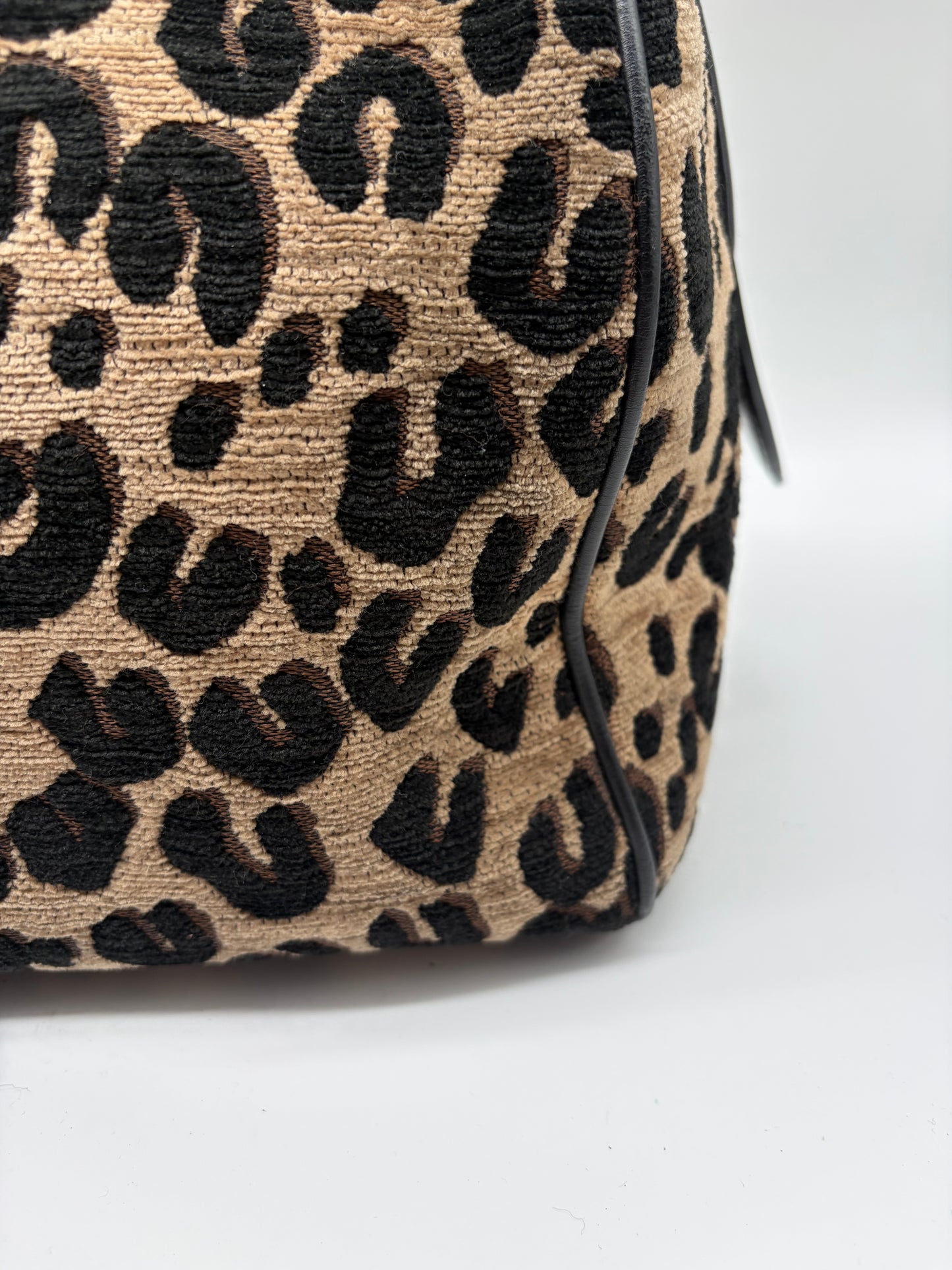 Louis Vuitton x Stephen Sprouse Speedy 30 Leopard Special Edition