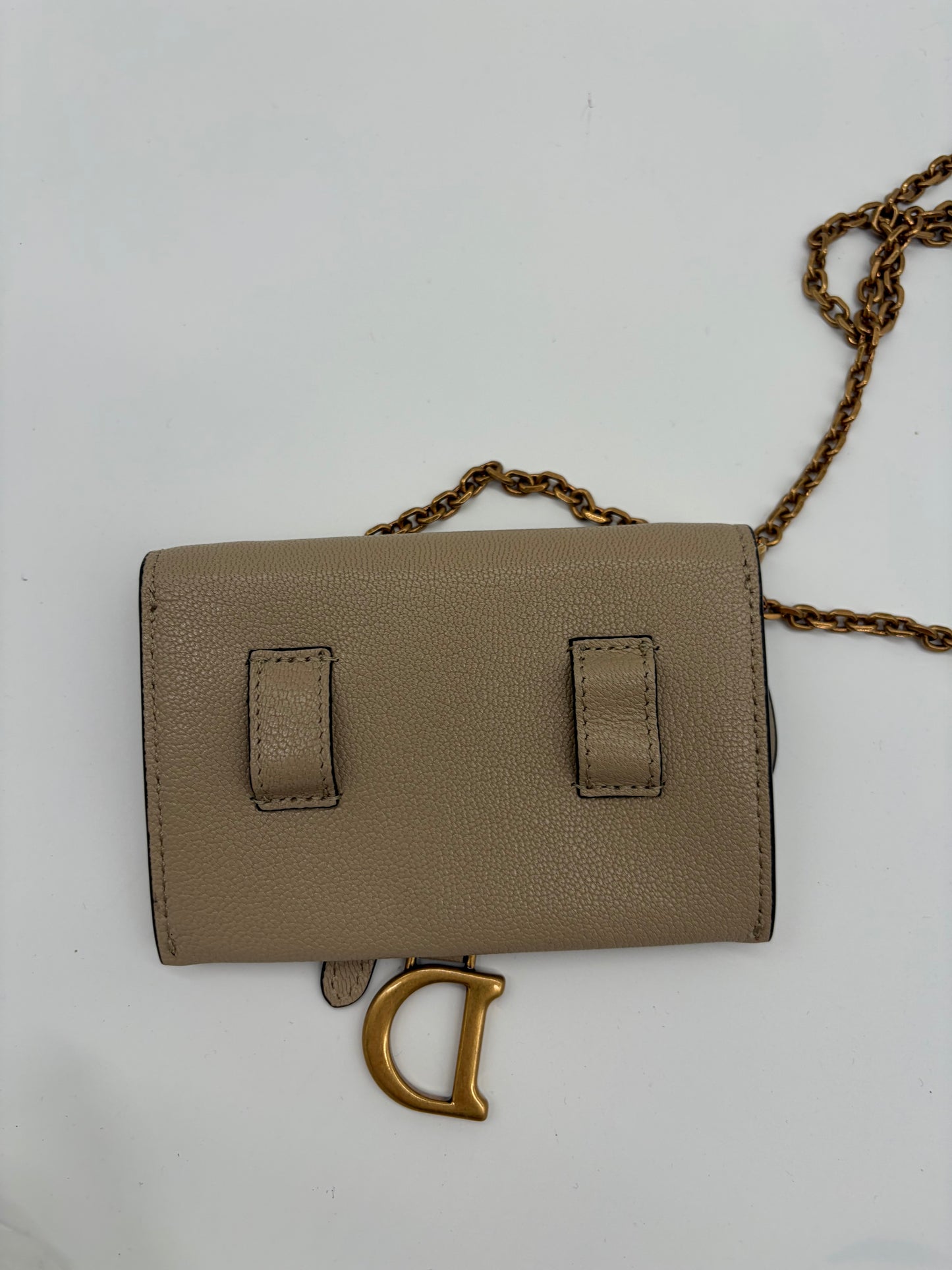 Dior Saddle Nano Portemonnaie Wallet on Chain