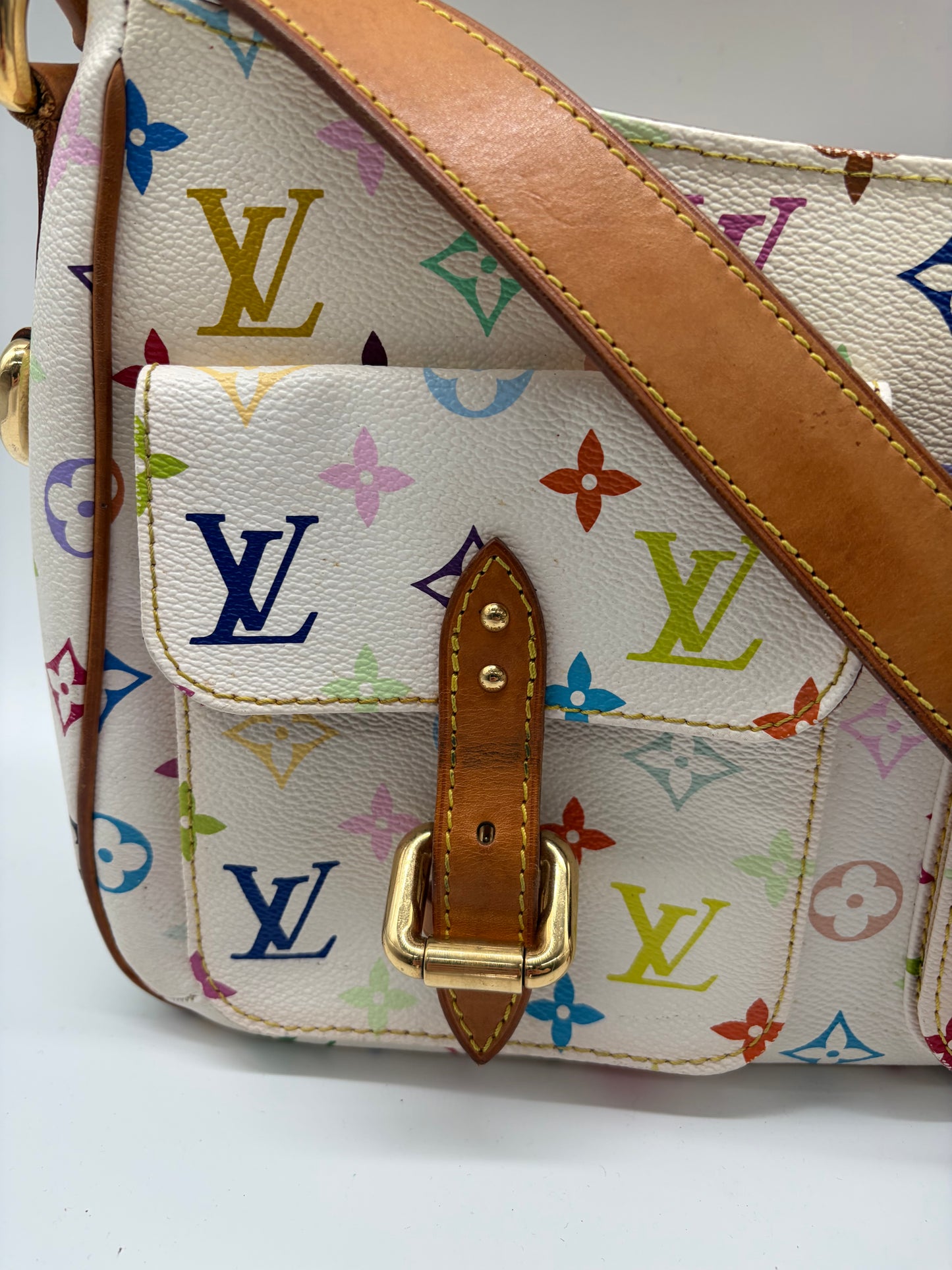 Louis Vuitton Murakami Monogram Multicolor Lodge