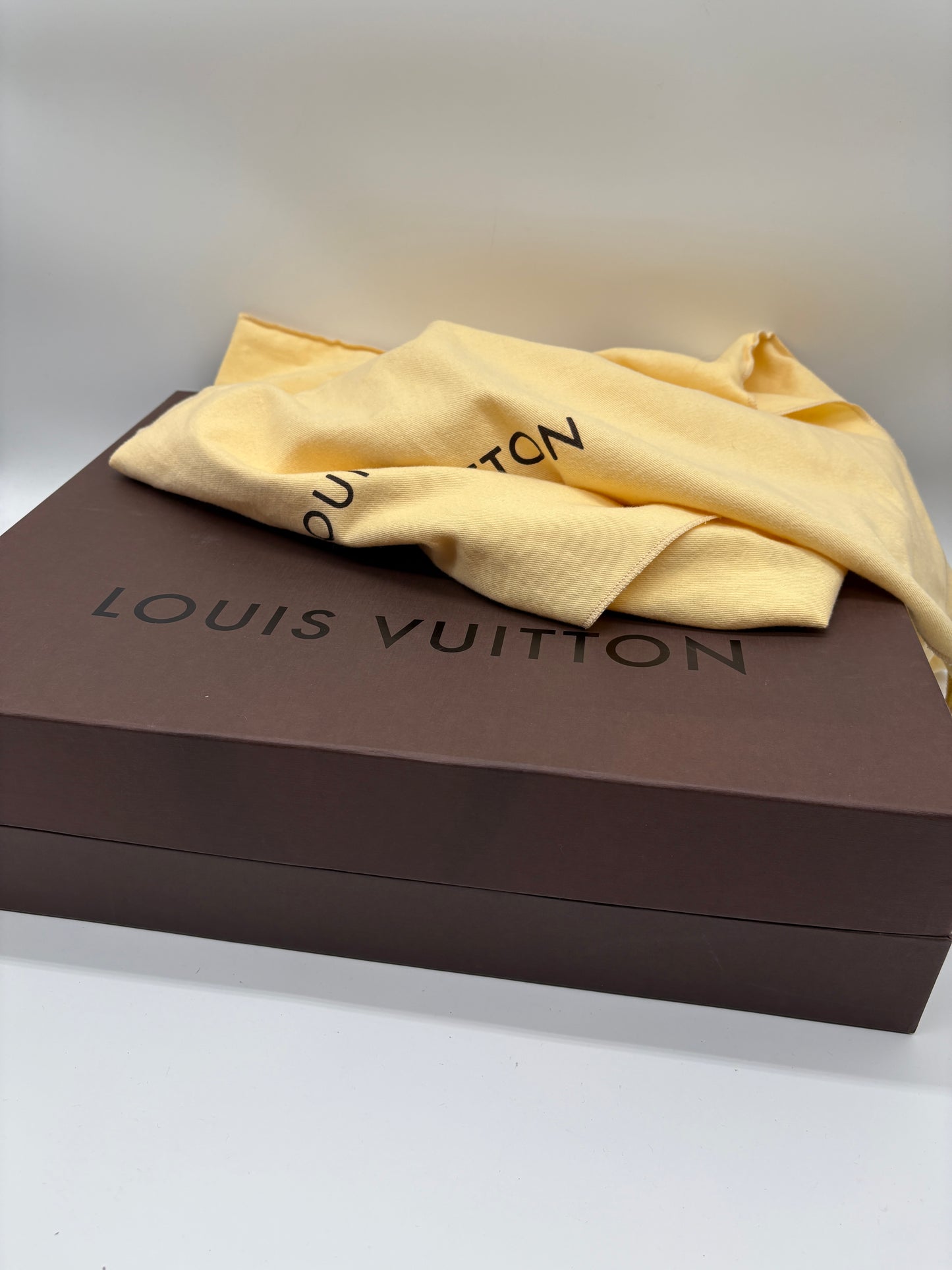 Louis Vuitton Lumineuse Empreinte Designer Handtasche