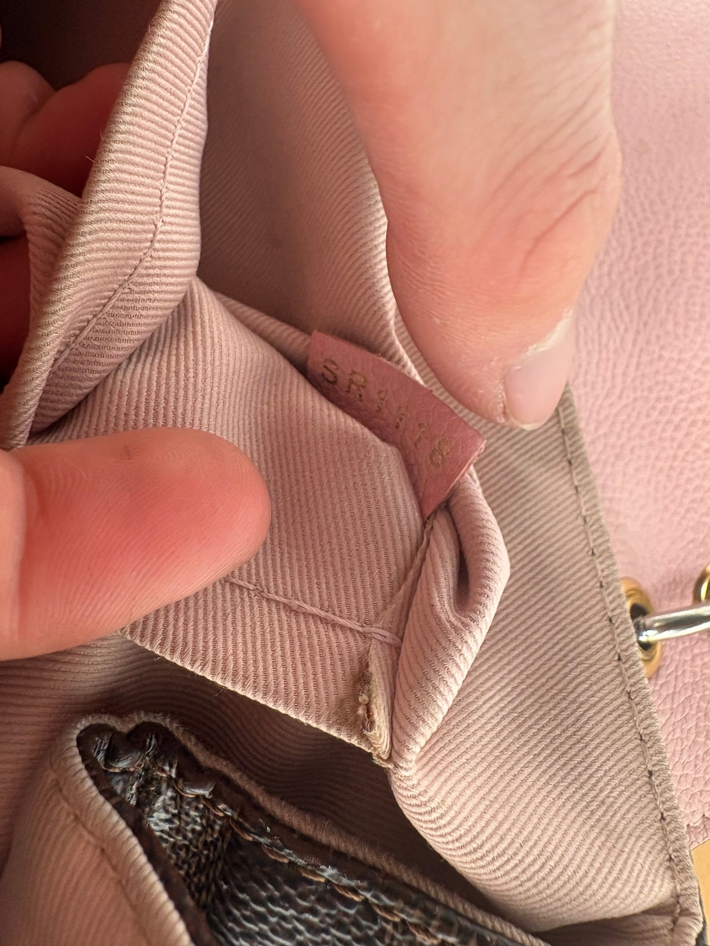 Louis Vuitton Damier Ebene Clapton Rucksack braun pink