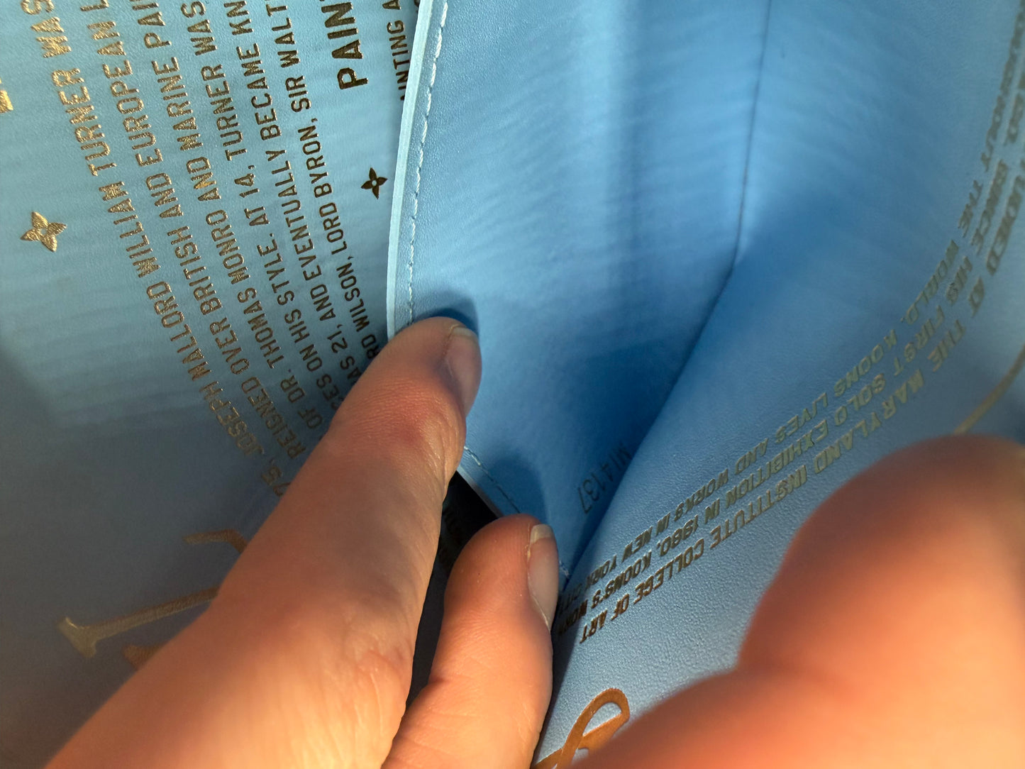 Louis Vuitton × Jeff Koons Turner Pochette / Clutch Masters Collection