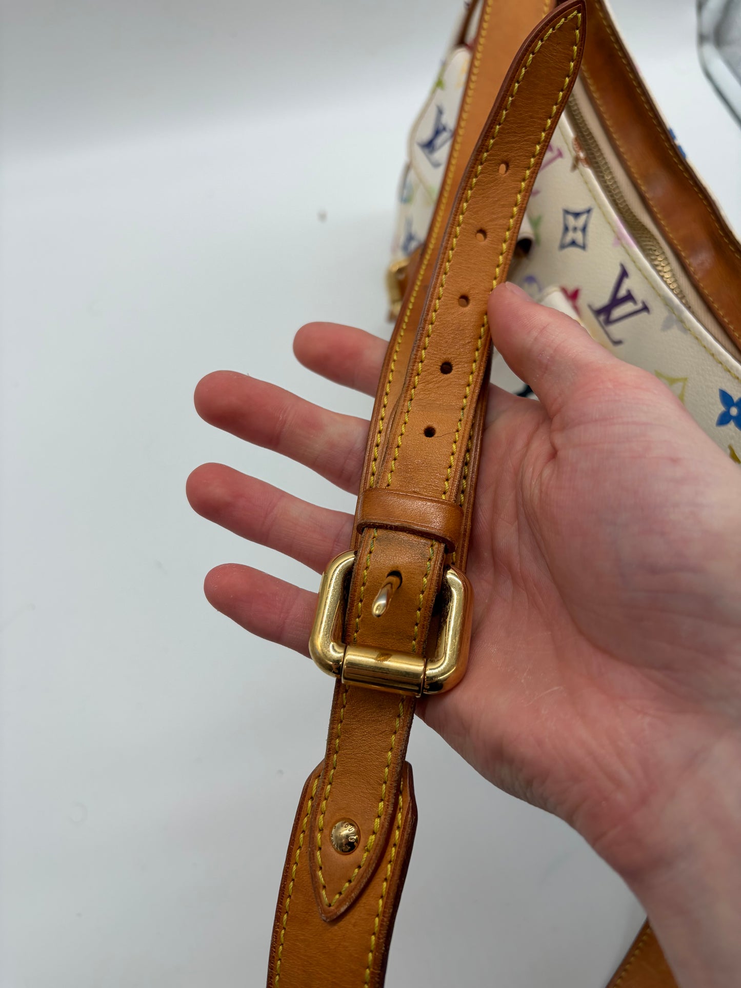 Louis Vuitton Murakami Monogram Multicolor Lodge